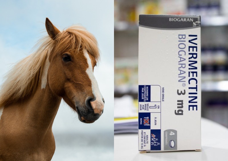 Stop horsing around: If you're planning on taking horse dewormer ivermectin or volcanic ash to treat Covid-19, don't do it