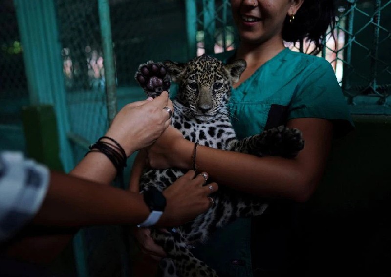 Cuban zoo helps deaf visitors experience the wild