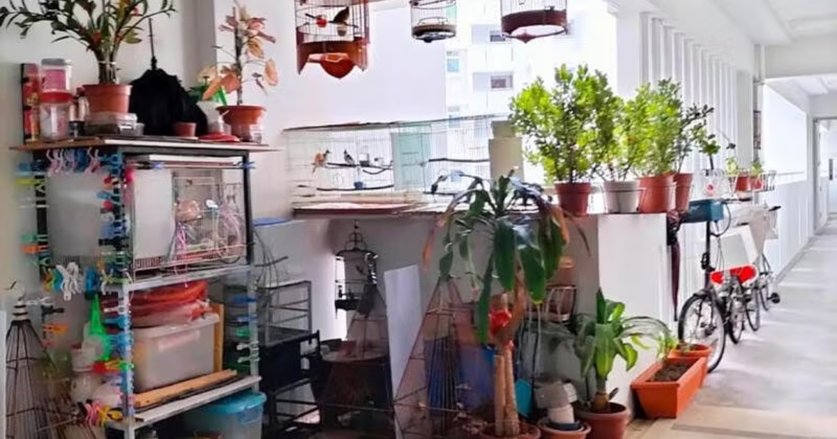 Man clutters corridor of Sengkang HDB flat for years, prompting complaint from several neighbours