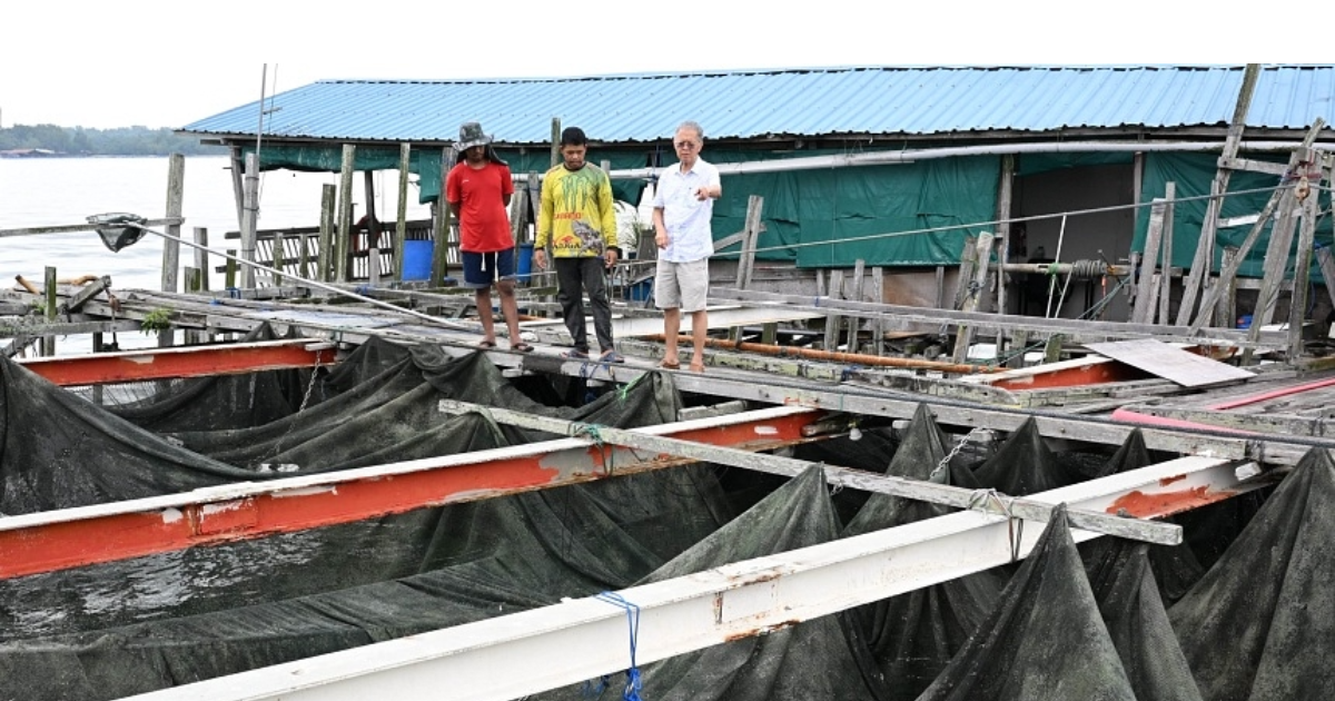 One of Singapore's last kelongs could close as heritage activists strive to save it
