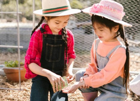 Eco-friendly activities for the family 