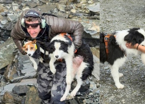 Hiker's dog lost in a wild New Zealand forest rescued by helicopter after strangers fund search