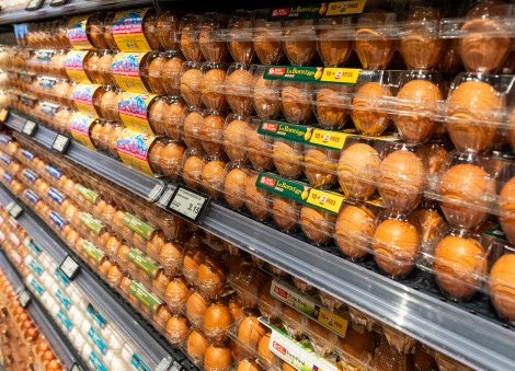 Singapore to source for meat and egg products from 3 more EU countries