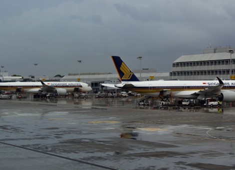 Halal-certified? Muis sheds light on SIA's Muslim meals following online discussion