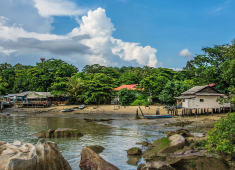 NParks calls for calm after recent crocodile sightings near Pulau Ubin 