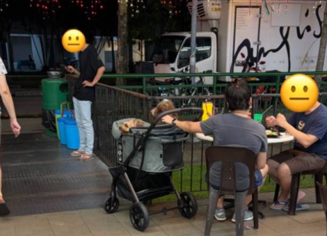 'Not everyone likes dog hair in their food': Diner raises hygiene concerns over dogs spotted at coffee shop