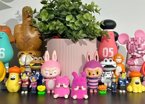Labubu, Pokemon cards, plushies: Where do they go once the trends fade?