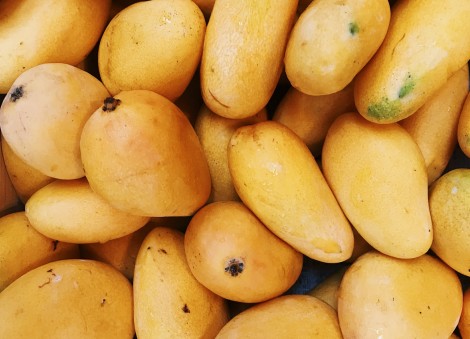 China bans Taiwanese mangoes, cites pests; Taipei claims politics