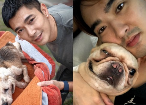 Goodbye furever: Elvin Ng 'guilty' having to euthanise pet dog, Lee Teng mourns his that died while he was overseas 