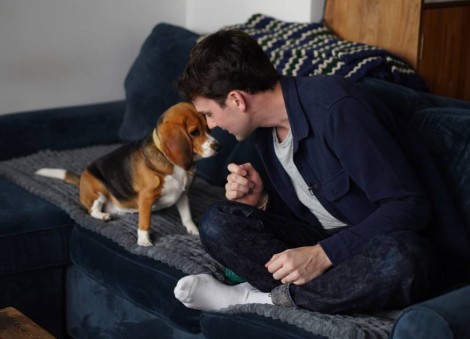 Gene-edited beagles may offer a future option for people with dog allergies