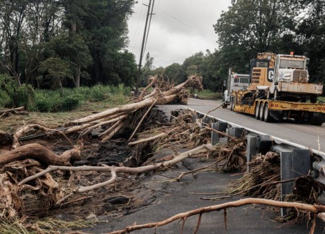 Thousands without power after Tropical Storm Lala uproots trees in Hawaii