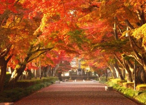 A guide to Tochigi Prefecture, Japan: Places to visit and things to do