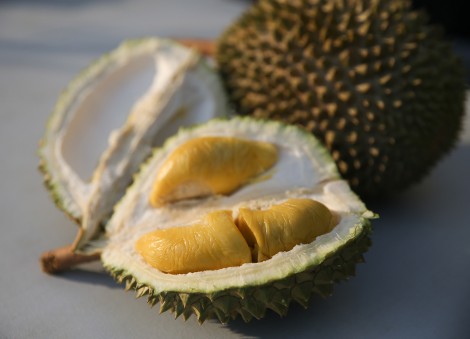 Best places to satisfy your durian cravings in Singapore