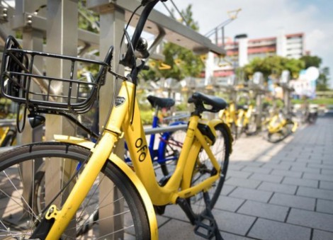 Ofo's licence may be suspended if it fails to meet regulatory requirements: LTA