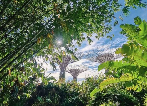 Singapore crowned most Instagrammable place in the world — here are 13 best places to take your #ootd