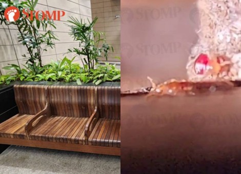 'Oh my god, it's moving': SingHealth apologises after kids bitten by bedbugs on hospital's bench