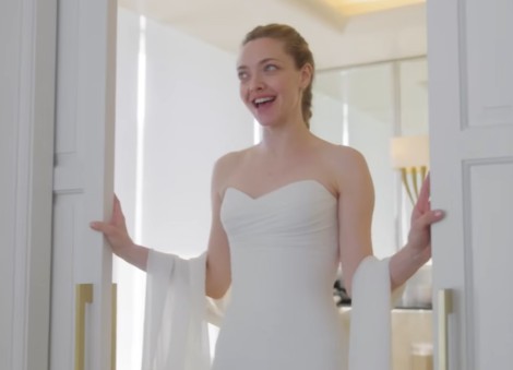 Amanda Seyfried's Golden Globe Awards dress took 400 hours to make