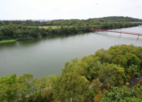 Paya Lebar redevelopment: Nature Society proposes keeping a third of space as green areas