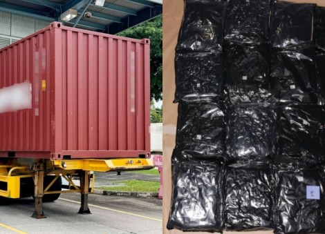 Over 500kg of cannabis reportedly in transit seized at Pasir Panjang scanning station