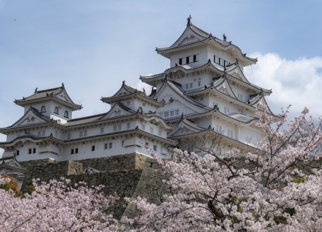 Japan's 2026 sakura season set to be most affordable in years