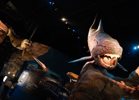 Life-sized animatronics, 22 immersive zones and more: First look at the new Singapore Oceanarium