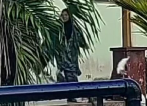Woman allegedly sends kitten flying with kick, sparking outrage in Malaysia