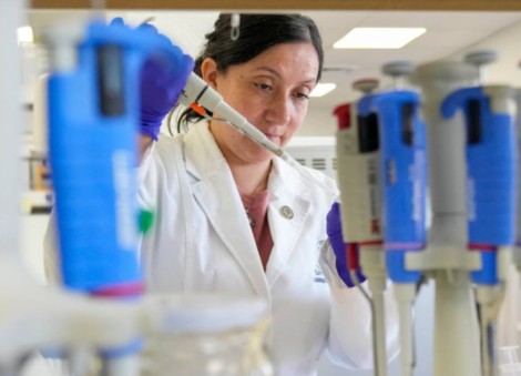 Tools to fight hantavirus show promise despite limited funding. Now researchers hope to continue 