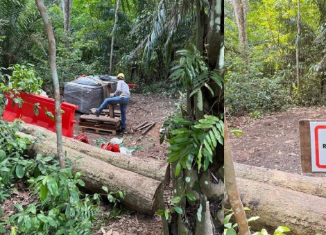 Area in Central Catchment Nature Reserve illegally cleared; NParks investigating