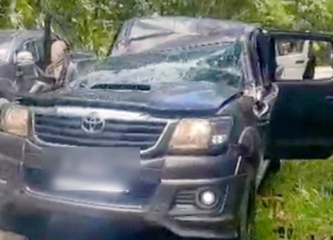 Driver dies after rotting tree falls and crushes car in Sabah