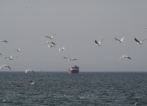 Iran vows to attack any ship trying to pass through Strait of Hormuz