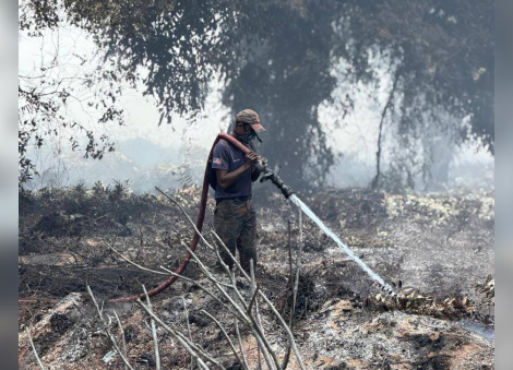 Pengerang forest fire 85% extinguished, says Johor fire department 