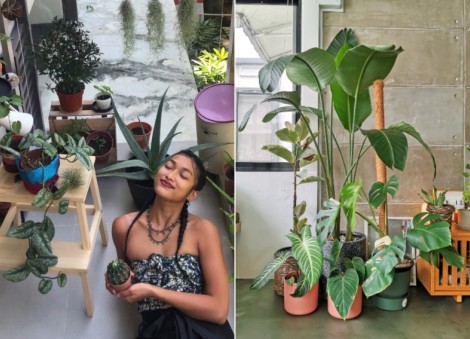 Peek into the jungalow-style homes of these 8 Singapore creatives
