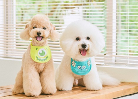 8 best pet clothing stores from Taobao for the cutest dogs, cats and more