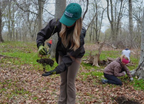 Study says trees counter half the world's urban heating, but not in the places that need it most
