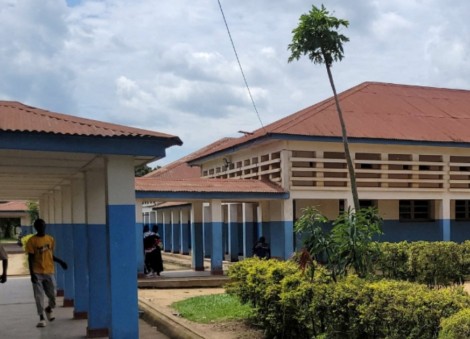 What do we know about the Bundibugyo strain of Ebola virus?