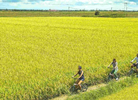 Exploring Malaysia: Hidden gems for school holiday road trips