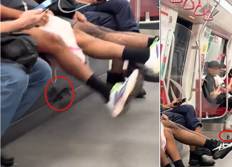 'Master Splinter belongs in the subway': Rat sighted on East-West Line train