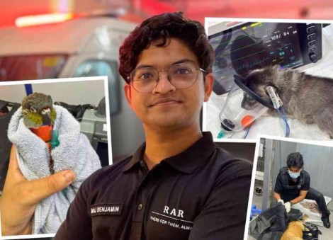 He's only 25, and a pioneer of Singapore's only uniformed 24-hour private pet rescue service