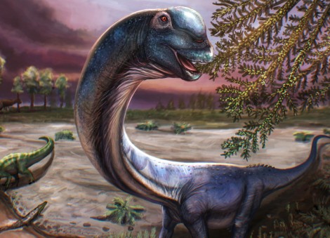 Scientists dig up Southeast Asia's largest dinosaur in Thailand