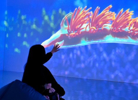 At this immersive ocean experience, I learn why it's important to conserve marine life