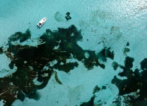 38-year-old man dies after shark bite off Western Australia coast