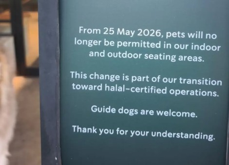 Pets no longer allowed? Starbucks' notice at East Coast Park sparks debate
