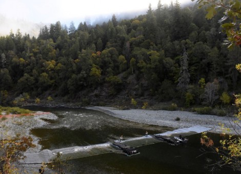 To save salmon, US approves largest dam removal in history