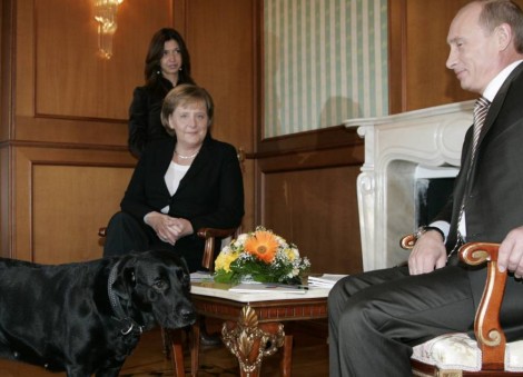 Putin denies he tried to frighten Merkel with dog Koni