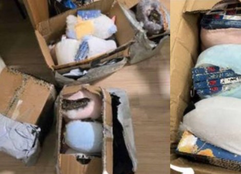 Stuffed with surprises: 3 international students caught smuggling duty-unpaid cigarettes in soft toys
