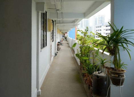 Man dons bra, wig and modified pantyhose, walks along HDB corridor with female undergarments tied to exposed genitals