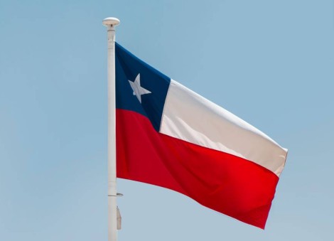 WHO validates Chile as first South American country to eliminate dog-transmitted rabies