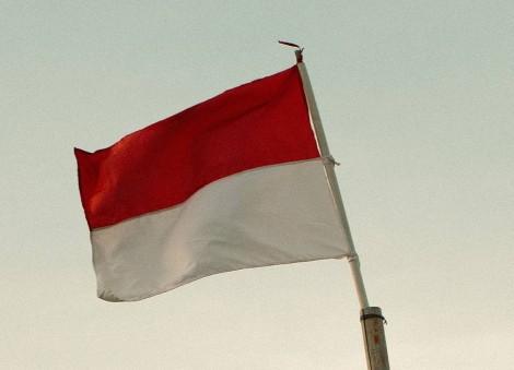 Indonesian activists criticise reduced sentences of soldiers convicted of acid attack on activist