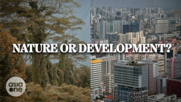 /video/does-development-have-mean-losing-nature-current-state