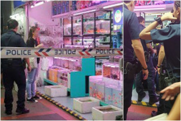aquarium shop nearby
